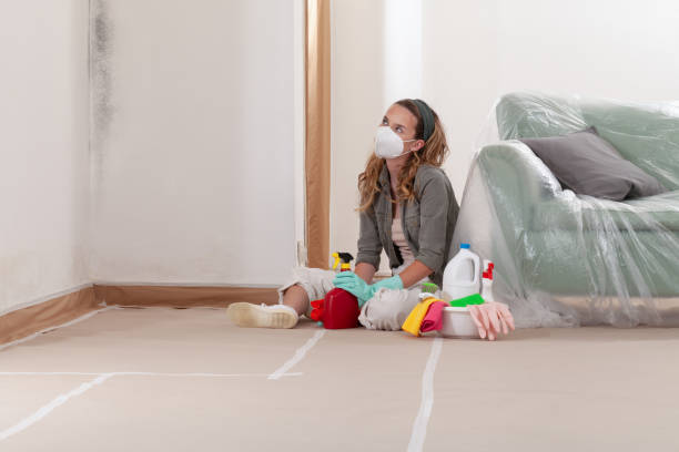 Reliable Mold Testing contractor in Suwanee, GA by WQB Mold Removal